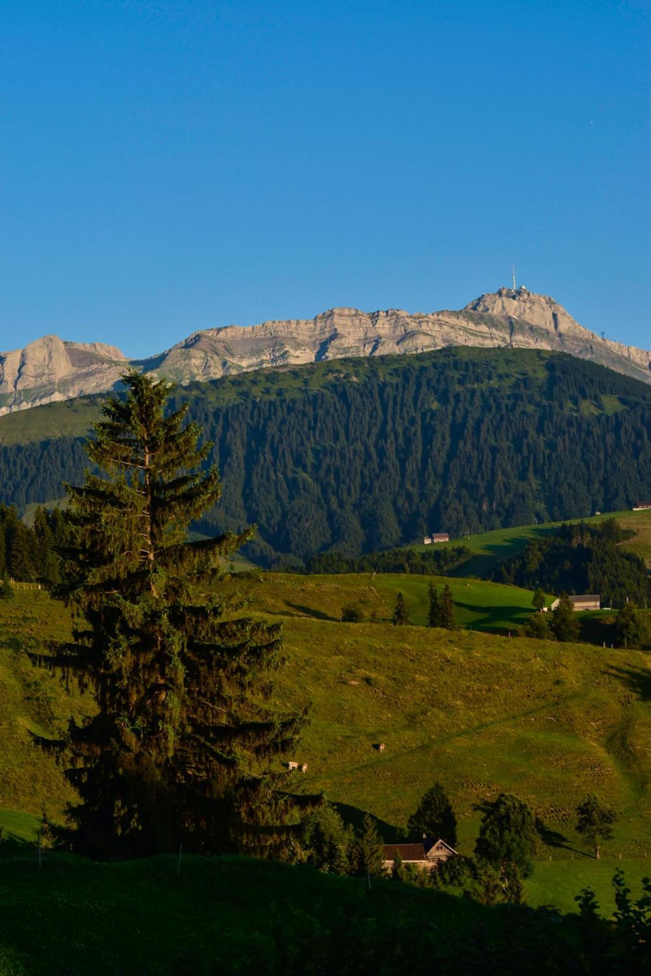 Ferienwohnung In Buehler Naehe Appenzell Buhler Eksteriør bilde